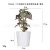 Mini maceta de plástico artificial hecha a medida para escritorio, regalo transfronterizo, hierba de cobre Pu, planta verde, crisantemo silvestre, flor artificial, bonsái de simulación
