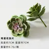 Cabeça de Flor de Revestimento Carnuda Planta Artificial Falsa Aloe Cacto Combinação em Vaso Planta Verde Micro Paisagem Ornamentos
