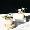 Enfeites de Vidro Zibo, Plantas Suculentas em Vasos, Plantas Verdes de Vidro, Presentes de Flores de Dezembro, Artesanato para Decoração de Escritório