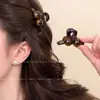 Pinza para el Cabello Pequeña para Mujer 2026 Nuevo Pinza de Alto Gama para Media Cola Pinza Lateral Accesorio para el Cabello de Princesa