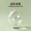 Atividade Micro Paisagem Garrafa Ecológica Suculenta Hidropônica Criativa Musgo Planta Bola Suspensa Garrafa Prateleira de Ferro Ornamentos de Presente