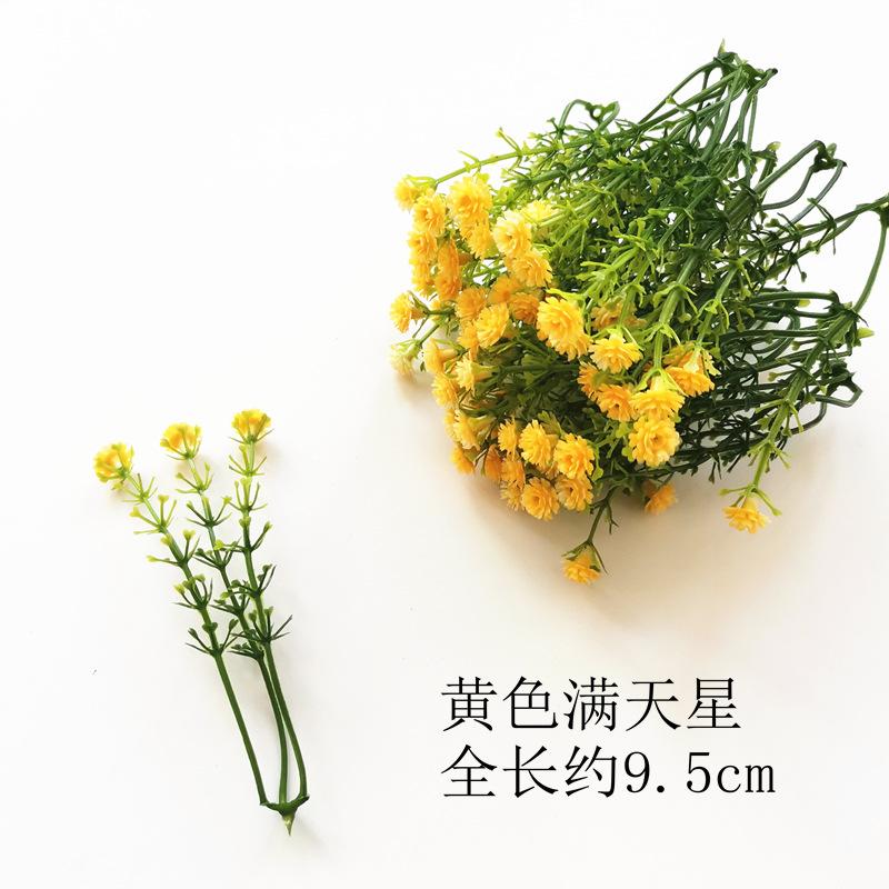 【黄色】.jpg