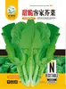 Semillas de Verduras Variadas para Otoño e Invierno, Semillas de Col China, Plántulas con Alta Tasa de Germinación, Nuevas Variedades de Colza Empresas Mayoristas