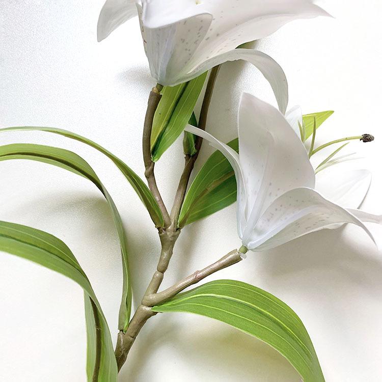 QQ图片20220819141243