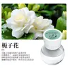 Blanco Grande Invertido Aromaterapia Coche Dormitorio Hogar Armario Eliminación de Olores Aire Fresco Aromaterapia Baño Desodorante Perfume