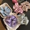 Estilo Coreano Principios de Primavera Nuevo de Gama Alta Colorido Yema de Flor Anillo para el Cabello Intestino Grueso Bola Rosa Cuerda Dulce para el Cabello Diadema Accesorios para el Cabello