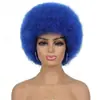 Explosão de cabelo AFRO transfronteiriça Peruca de cabeça Afro Africana Cor de performance Fãs Bola Engraçado Engraçado Vestido