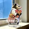 Varios standees de emoji de ualabí, divertidas figuras acrílicas abstractas, diseños de ratones graciosos, adornos decorativos para escritorio