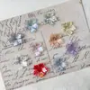 Pétalos de Flor Acrílicos con Agujero Central, Flor de Cinco Pétalos, Brillantes Color Ab Chapado, Horquilla, Pendiente, Colgante y Joyería Hechos a Mano Vintage para DIY