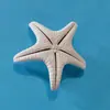 Estrellas de Mar Naturales Materiales Hechos a Mano DIY Adornos Decorativos Adornos Colgantes Estrella de Mar Plana de Cinco Puntas
