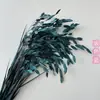 Hierba Xiao Pan Flor Eterna Yunnan Fábrica de Flores Secas Venta al por Mayor Nuevos Clientes Disfrutan de Buenos Regalos Regalo de Navidad Accesorios para Sesiones de Fotos
