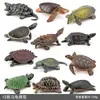 Simulación transfronteriza anfibio reptil modelo de tortuga tortuga cocodrilo real tortuga de hierba tortuga acuática tortuga china de caparazón blando adornos juguete