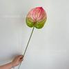 Nova flor de simulação 3D sentir vermelho palma cor palma flamejante guindaste Palma Guanyin Lotus simulação flor jardim design flor