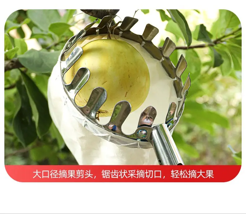 详情图片_27.jpg