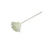 Flor de Crisantemo de Espuma de PE Expansible Fragancia Flor Aromaterapia sin Fuego Accesorios Flor Flor Flor Flor Perfume Flor Aromaterapia Arreglo floral