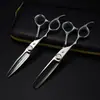Tijeras Plateadas Fdms para Zurdos 6.0 pulgadas Forma Especial Dimashi Tijeras de Peluquería Tijeras para Cortar el Cabello Tijeras Planas Tijeras para Flequillos 7H