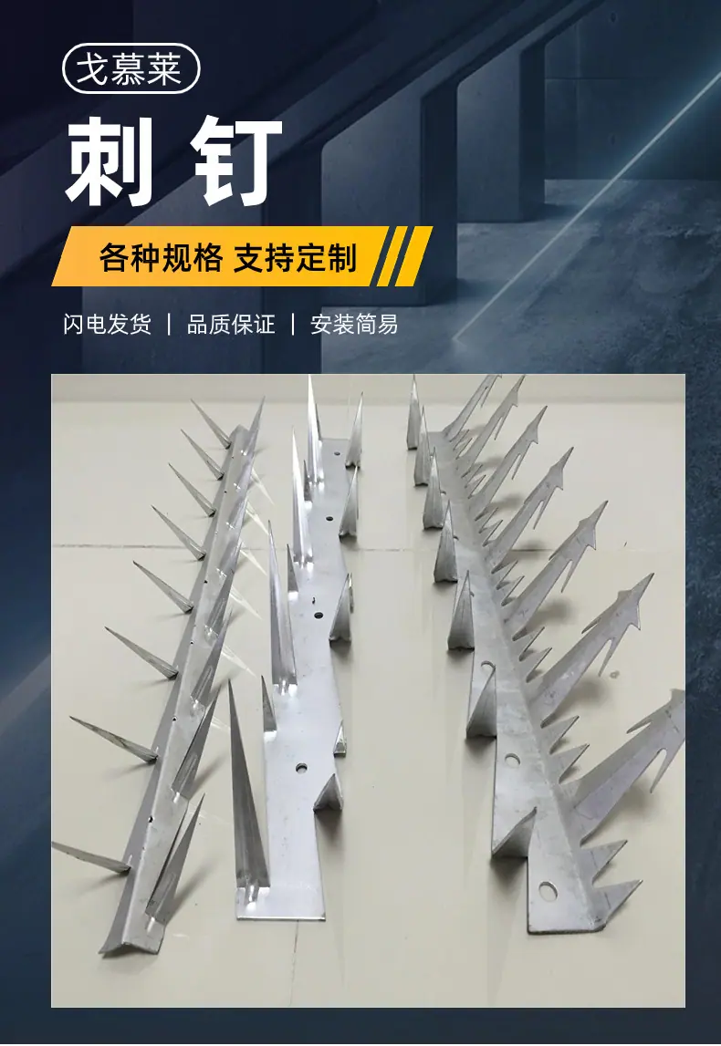 详情 (1).jpg