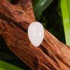 Cristal Natural 30mmx20mm Pequeños Adornos de Huevo Fabricante Mayorista Jade Pulido Huevo de Pájaro Decoración del Hogar Resurrección