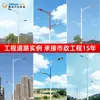 Luminarias de Calle Urbanas para Exteriores, Iluminación Municipal LED para Carreteras, Nuevo Proyecto de Iluminación Rural, Fabricante de Origen, Luminarias Tipo Proyecto