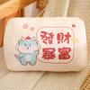 Lindo Cojín Calentamanos Peluche Invierno Cojín Calentamanos para Estudiantes Almohada para Siesta Regalo para Actividad