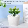 Vasos de Porcelana Branca para Flores Transfronteiriços Amazon Vasos Cerâmicos para Suculentas Simples Criativos Preto e Branco para Interior Vasos para Orquídeas Plantas Verdes