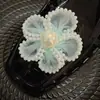 Acessórios de Flor de Sapato de Cristal Resistentes Estilo Coreano com Lantejoulas Bordadas, Franjas de Cristal Exquisite de Estilo Leve de Luxo