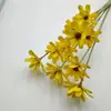 Sementes, Flores, Flores Eternas, Flores Secas Artesanais, Kit de Material DIY, Arranjo de Flores em Vaso, Flores Naturais Reais, Adereços para Fotografia, Plantas Estilo Ins