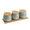 Juego de tarros de condimentos esmerilados estilo japonés, alambre dorado, cerámica de horno, caja combinada para condimentos del hogar, sal, azúcar, botella de condimentos