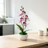 Venta Caliente Transfronteriza Cuatro Orquídeas Phalaenopsis Flor Artificial Planta en Maceta Flor Artificial Creativa Bonsái Planta Verde para el Hogar Adorno Decoración Suministros