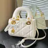 Bolsos de moda transfronterizos para mujer en 2026: nueva colección de otoño, bolsos de hombro sencillos, bandoleras para el trabajo y bolsos estilo Diana