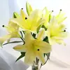 Bulbos de lírio perfume, sementes de lírio de pétala única enviadas com botões, de pétala dupla, flores ornamentais de vaso para quatro estações atacado