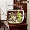 Acuario de plástico transparente, pequeño, para acuario, micropaisajismo, oficina, ornamental, para tortugas, de escritorio, ecológico.