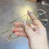 Nuevos Armazones de Lentes a la Moda y Versátiles de Jian Danke Luo, Armazón Grande Retro, Doble Puente, Armazón de Lentes de Prescripción Sin Marco, Lentes de Moda Sin Graduación