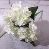 Simulação Hortênsia Casamento Flor de Seda Folha de Dinheiro Cabeça Salão de Casamento Flor Decorativa Rosa Peônia Cabeça Planta de Simulação