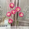 Flores Artificiais de Peônia de 6 Camadas para Decoração de Corredor de Casamento, Flores para Decoração de Salão de Casamento, Flores Artificiais de Plástico Arranjo de Flores DIY
