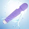 Comercio Exterior Fuerte Impacto Juguete Sexual Femenino Mini Vibrador Estimulación del Clítoris Vibrador Masturbación Vibración Productos para Adultos