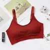 Top Tubo Colete de Urso Estilo Japonês Esportivo à Prova de Impacto Bojo Removível Estilo Colete Push-Up Roupa Íntima Feminina Costas e Peito Bonitos