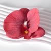 Pétalas da cabeça da flor Phalaenopsis acessórios de flor material de flor grampo de cabelo feito à mão diy decoração de adereço de cabeça material de flor