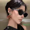 Óculos de Sol Gatinho Retrô Que Realçam a Aparência do Rosto, Unissex, Estilo Coreano, Alta Qualidade, Modernos, Estilo de Celebridade da Internet, Novo Modelo 2025