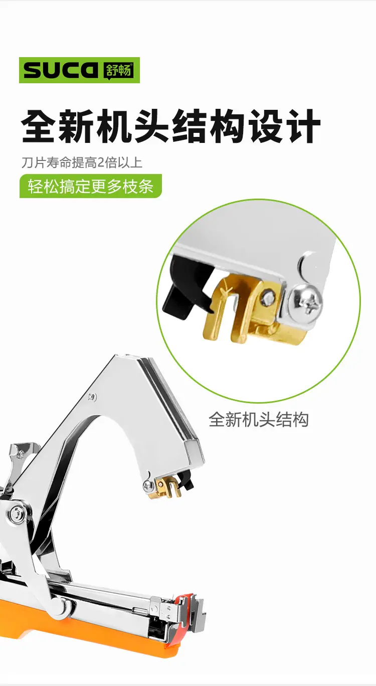8104黄_08.jpg