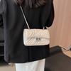 Bolso pequeño popular de este año para mujer de verano para combinar con todo 2023 nuevo bolso bandolera de cadena para el hombro para mujer explosivo bolso cuadrado pequeño