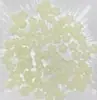 Tarjeta 12 Flor de Estrella de Cinco Puntas Mapei Color Portaflores Luminoso Estilo Antiguo Pasador Tocado Accesorios para Joyería DIY con Cuentas Venta al por Mayor