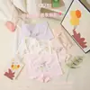 Ropa Interior para Niñas Algodón Antibacterial para Niños Transpirable Cómodo Bóxers Calzoncillos para Niñitas Clase A Calzoncillos con Entrepierna Antibacterial M-5XL