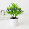 Amazon mini planta verde planta en maceta decoración de oficina en casa planta en maceta pequeña fotografía de planta falsa bonsái verde pequeño bonsái al por mayor