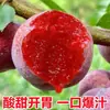 Frutas frescas da estação, de polpa vermelha, doces e crocantes, em conserva, de Qianpai, Maoming, Guangdong, vendidas por quilo, atacado por caixa