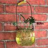 Venta al por mayor, color pequeño, color fresco, calabaza colgante, botella hidropónica, planta, maceta de vidrio, balcón, colgante de pared, jarrón hidropónico