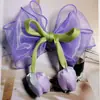 Tulipa