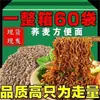 Preço Especial 60 PacotesMacarrão de Trigo Sarraceno Zero Gordura Alimento Instantâneo Não Frito Trigo Sarraceno Grãos Integrais Substituição de Refeição Macarrão Instantâneo Sem Sacarose
