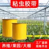Cinta Pegajosa Amarilla de Doble Cara para Insectos para Árboles, Cinta Repelente de Insectos para Jardines, Plántulas y Árboles Frutales, Cinta Pegajosa Universal para Insectos, Venta al por Mayor desde el Fabricante