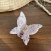 Nuevo Pinza Colorida de Ácido Acético Mariposa para el Cabello Dulce Soñador Clip de Tiburón Accesorios para el Cabello Versátiles de Alta Gama Tocado para Mujer